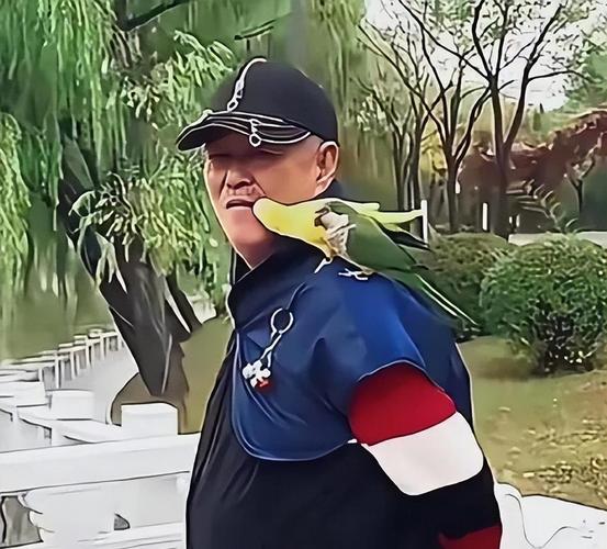 赵本山及时隐退_赵本山退出娱乐圈_赵本山退货