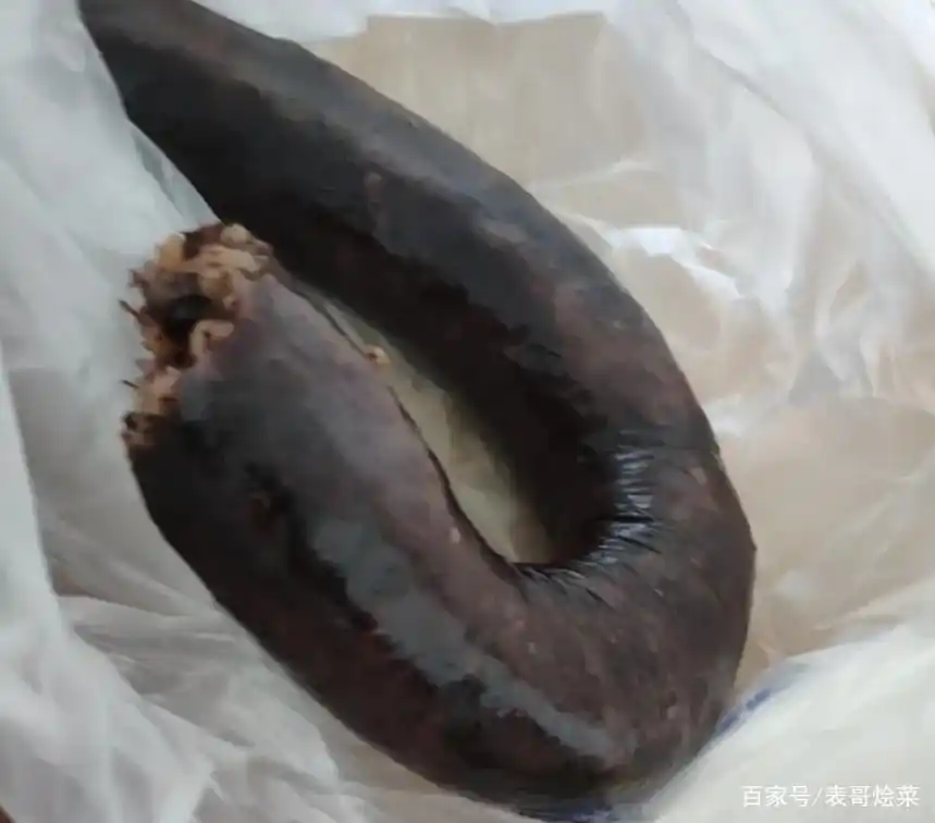 黑暗料理是什么意思_血米肠朝鲜美食_网红寿司黑暗料理是什么,